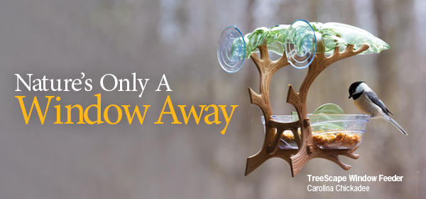 TreeScape Window Feeder